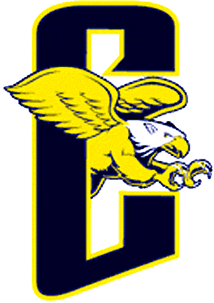 Canisius Golden Griffins 1999-2005 Alternate Logo DIY iron on transfer (heat transfer)